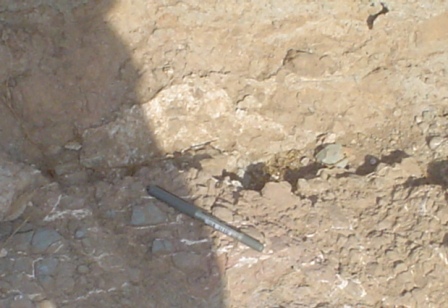العروق الجبسية الصغيرة